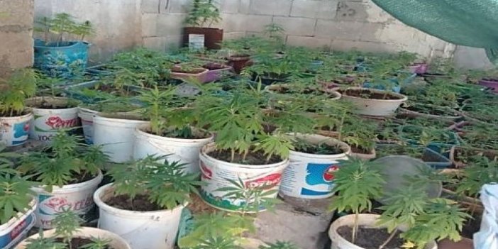 Türk polisi ve jandarması uyuşturucuya geçit vermiyor! Yeni adres Gaziantep