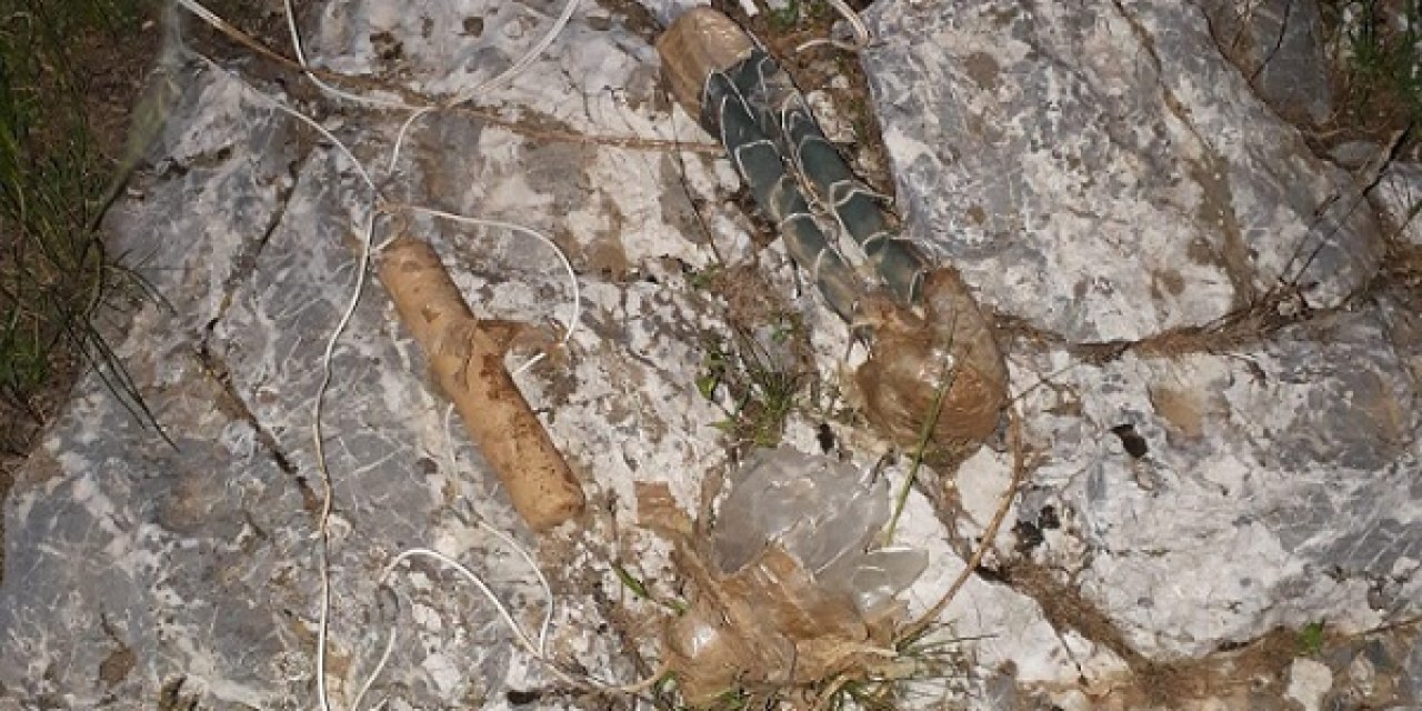 Bitlis'te Saldırı Son Anda Önlendi