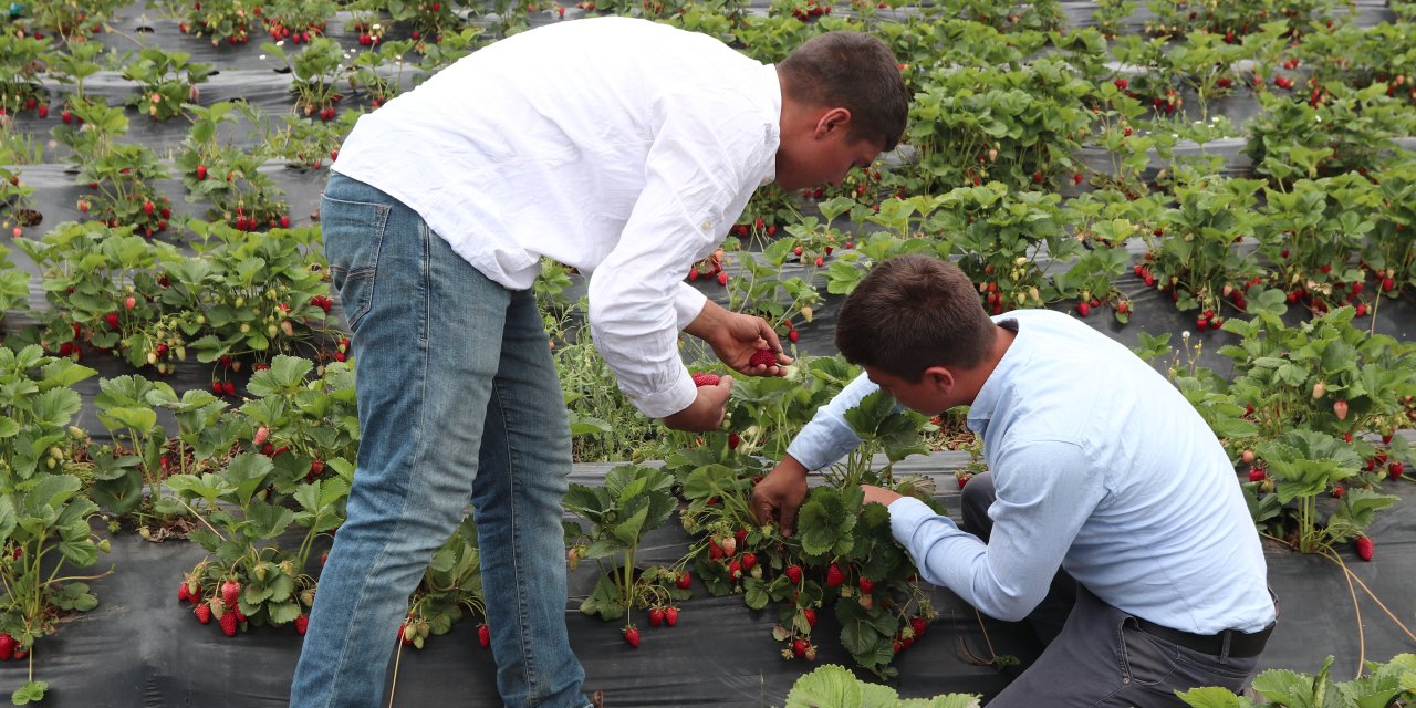 Genç çiftçi dekar başına 10 bin lira kazanıyor!