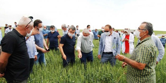 Konya bugüne kadar milli olmayan tohumlarla mı üretim yapıyordu?