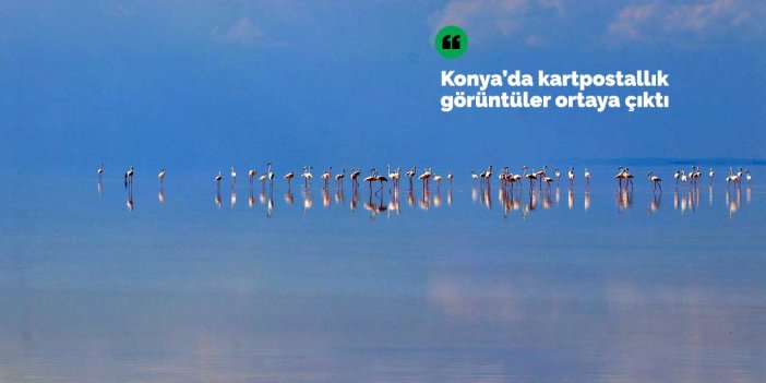 Konya'nın misafirleri