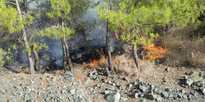 Hatay'da Meydana Gelen Orman Yanında 2 Hektar Ormanlık Yandı