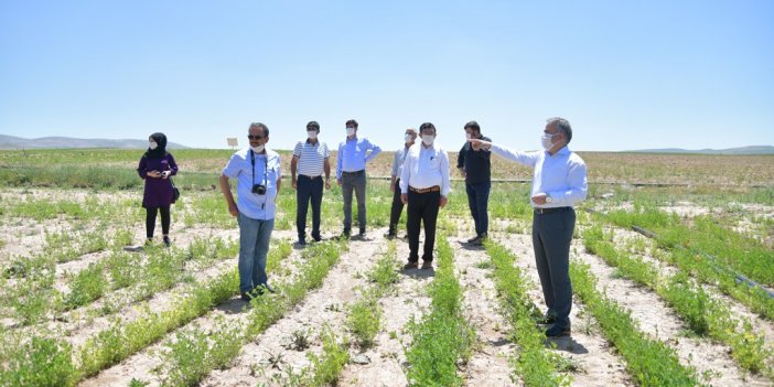 Kayseri'de Yerli Ve Milli Tohum Projesi Başladı