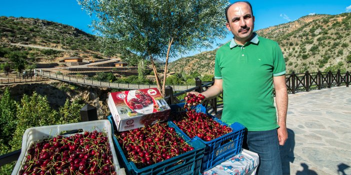 "Konya Türkiye'nin gıda güvencesi konumunda"