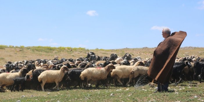 Karaman'ın Dağları'ndan ekonomiye önemli katkı