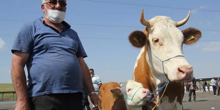 Kurban Bayramı İçin Tedbirler Resmi Gazetede Yayımlandı