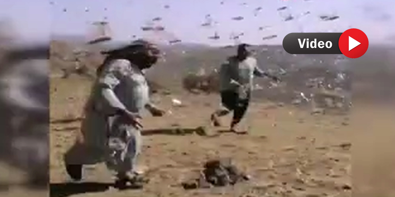 Çekirge istilası Suudi Arabistan'da paniğe neden oldu