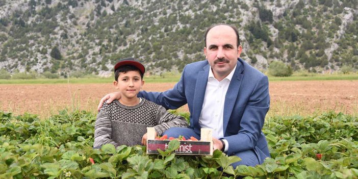 Tarımsal Destek Başvuruları Başladı