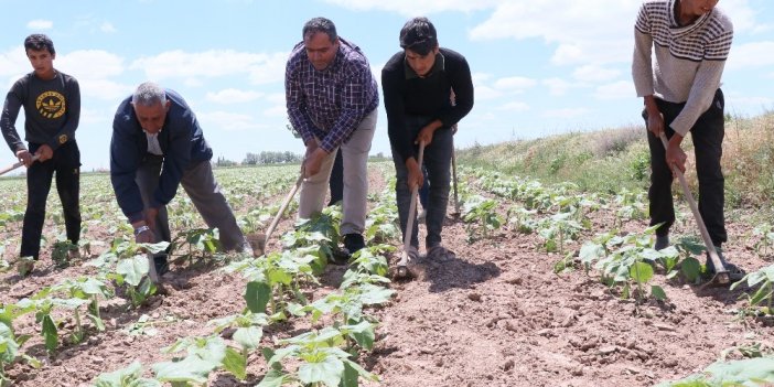 Aksaray’a Binlerce Tarım İşçisi Geliyor