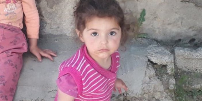 Van'da kaybolan Melek'ten acı haber geldi