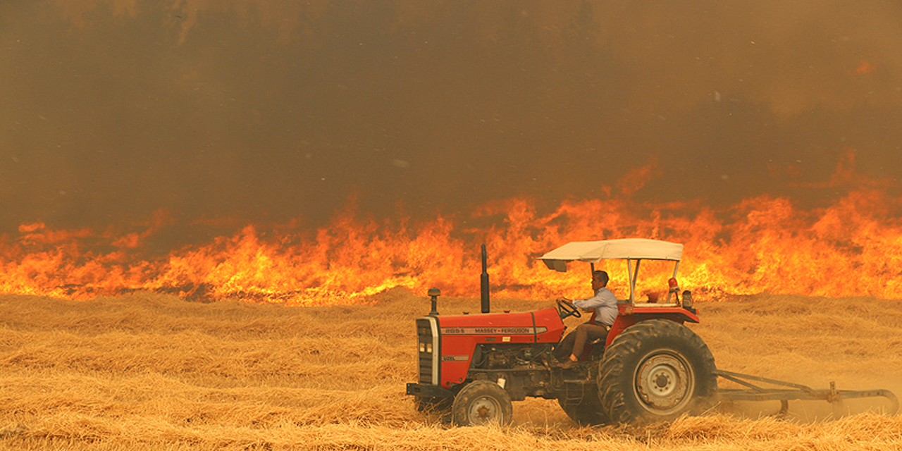 Konya'da ekini iki noktadan ateşe verdiler! 22 bin metrekarelik alan yandı