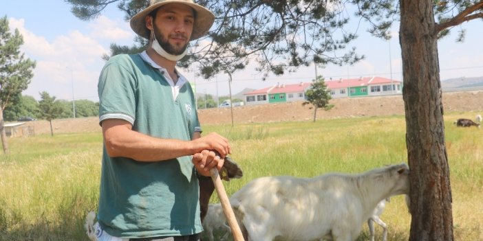 Sivas'ta çobanlık yapan yapan şahıs arkadaşının gasbına uğradı