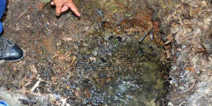 Bu suyu içen ölüyor! Esrarengiz suyla ilgili başkan Koyuncu açıklama yaptı