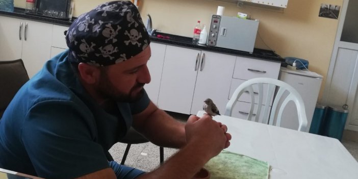 Hakkari'de yavru saka kuşunu polisler kurtardı