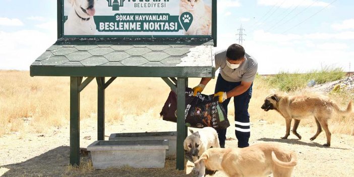 Karatay Belediyesi Sokak Hayvanlarını Unutmadı