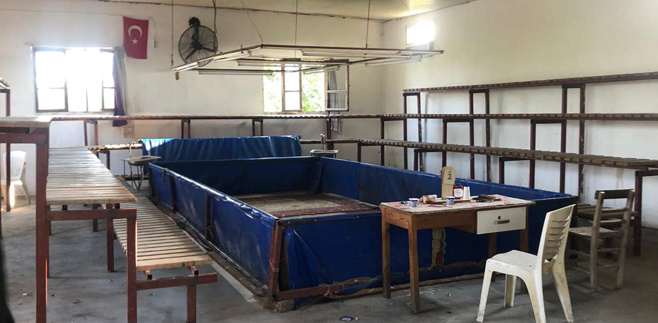 Adı dernek! Horoz dövüşü yaptırılan iki derneğe operasyon
