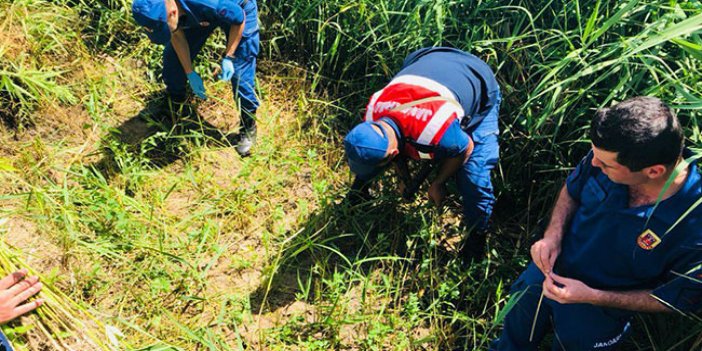 Konya'da ektiği kenevirleri sularken yakalandı