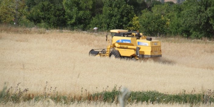 Konya Beyşehir’de hububat hasatlarında rekolte nasıl?