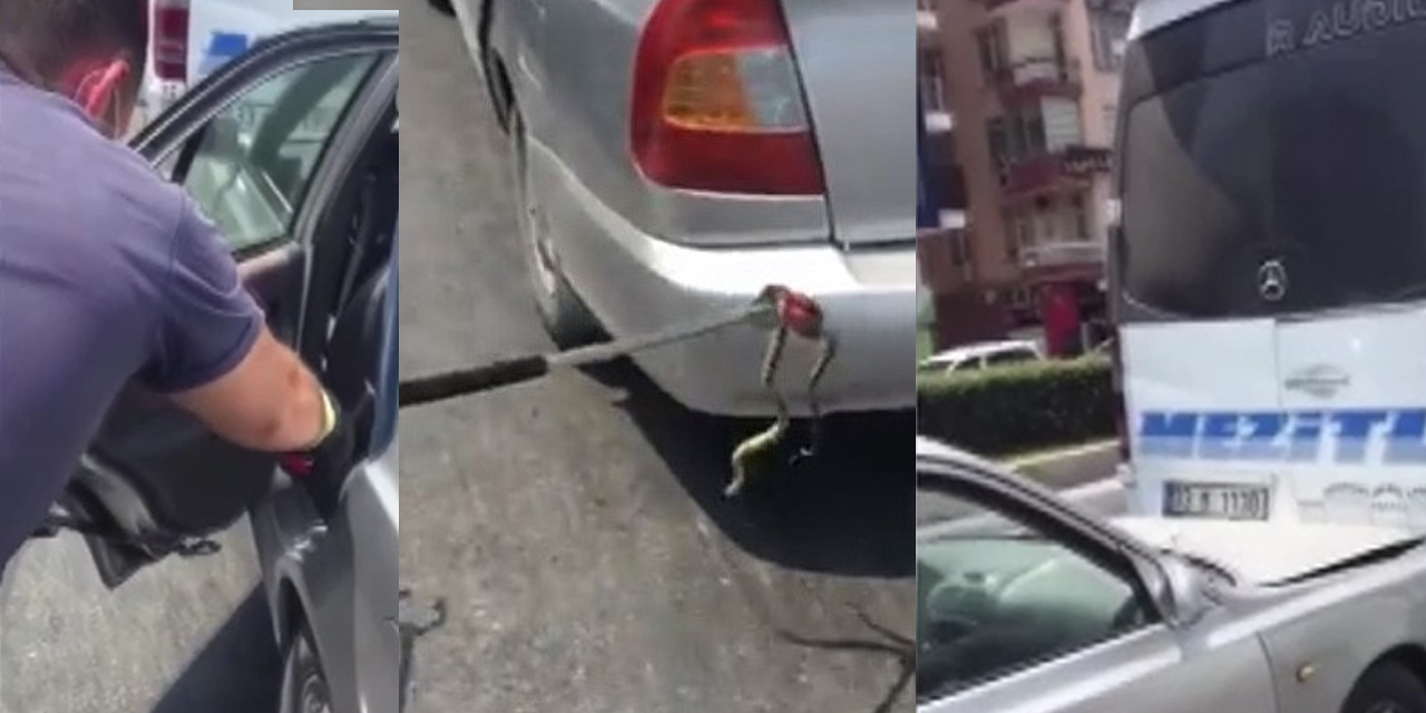 Seyir halindeki otomobile yılan girdi! Sürücü panikleyince olanlar oldu