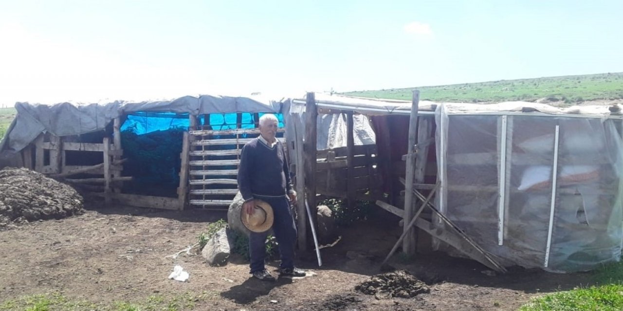 Kredi çekip almıştı! Hayvanlarını çalıp kayıplara karıştılar