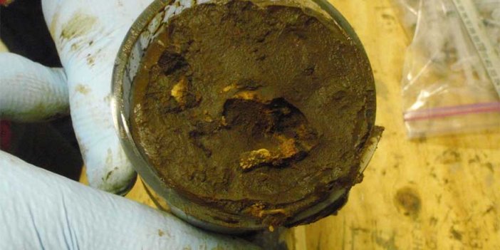 Bilim insanları dünyayı felakete sürükleyebilir