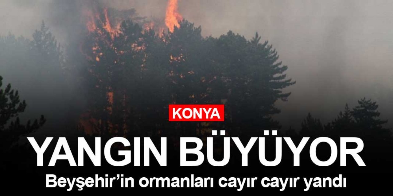Konya Beyşehir'deki yangın kontrol edilemiyor