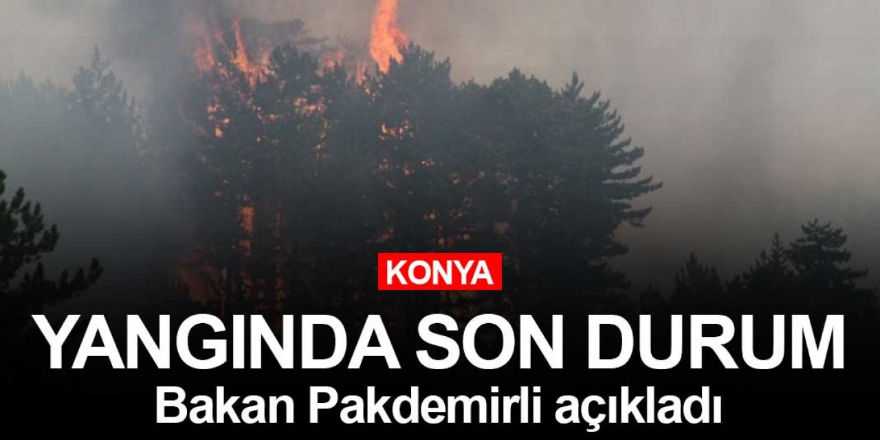 Konya'daki orman yangınında son durumu Bakan Pakdemirli açıkladı