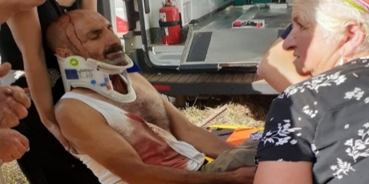 Ayının saldırısına uğrayan adam yaralandı