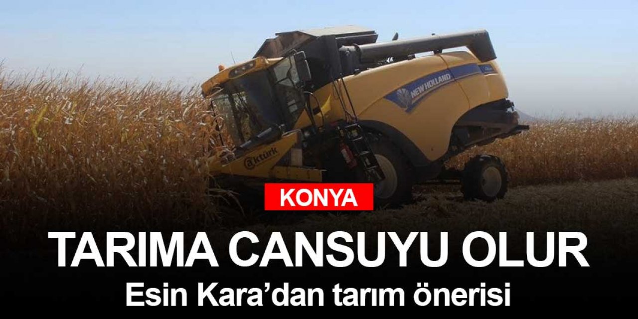 Konya tarımı için MHP Konya Milletvekili Kara'dan elektrik önerisi geldi