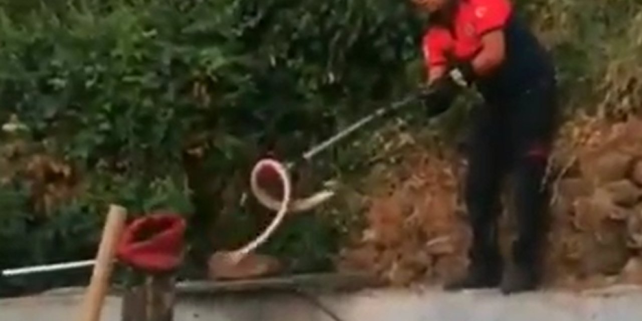 Evin bahçesindeki yılan paniği! İtfaiye yetişti