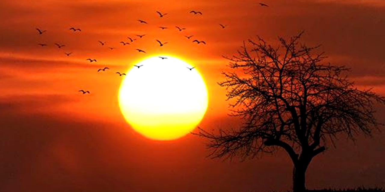 Temmuz 'en sıcak ay' olarak kayıtlara geçti