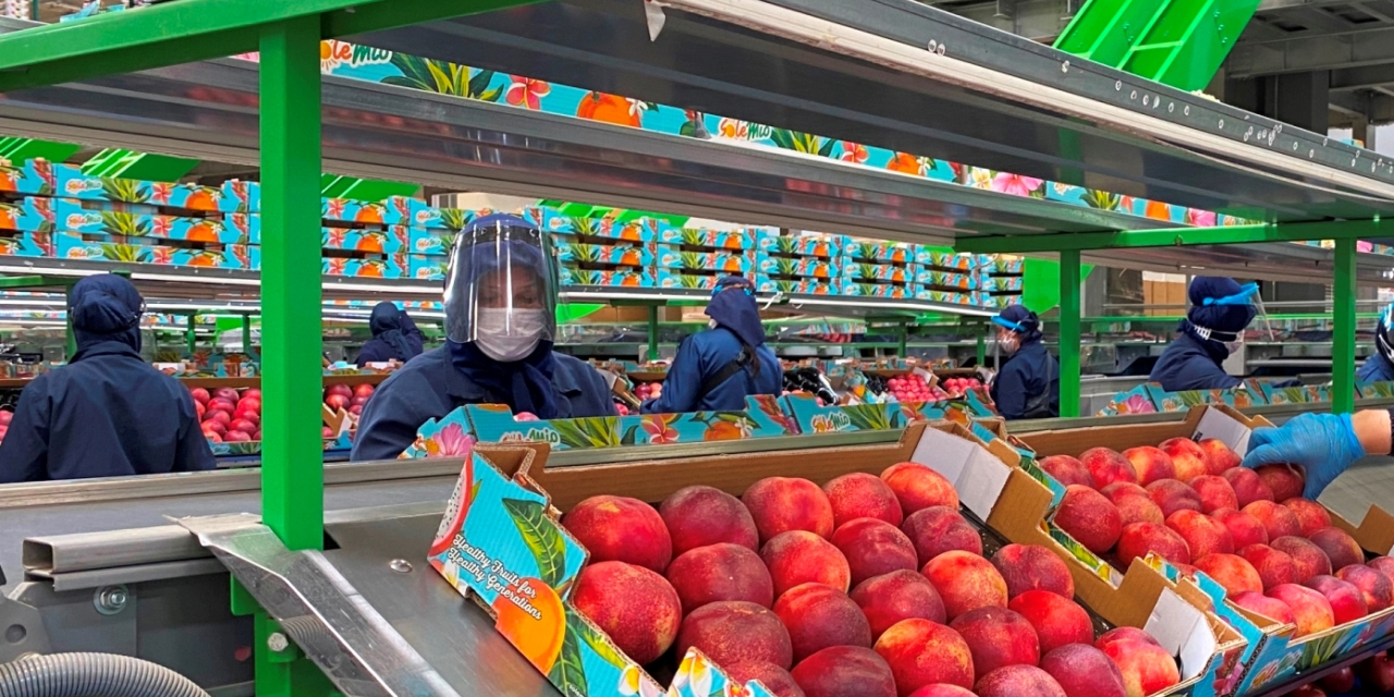 Anadolu Etap 'TSE COVID-19 Güvenli Üretim Belgesi' aldı