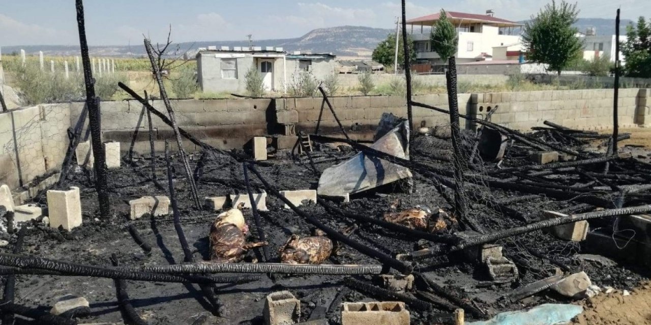 Ahırda çıkan yangında 5 küçükbaş hayvan telef oldu