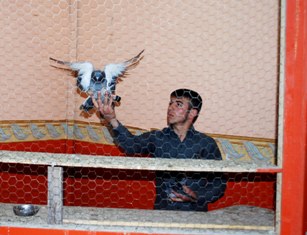 Attıkları takla sayısı değerlerini arttırıyor