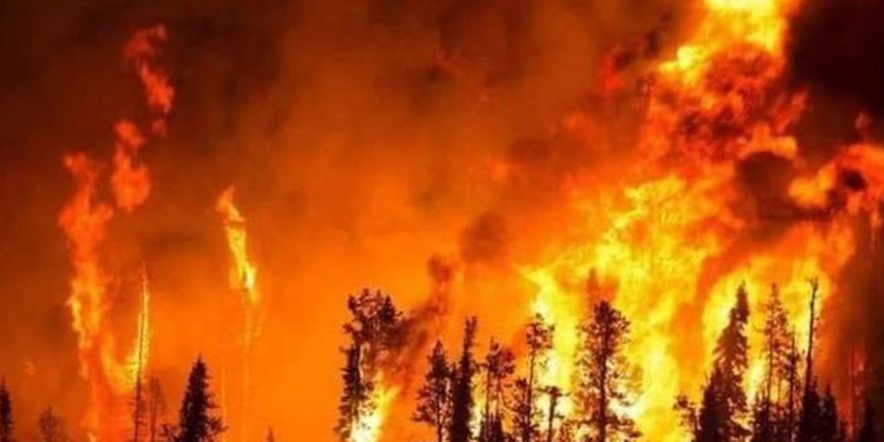 Adana'daki orman yangınında kundaklama şüphesi