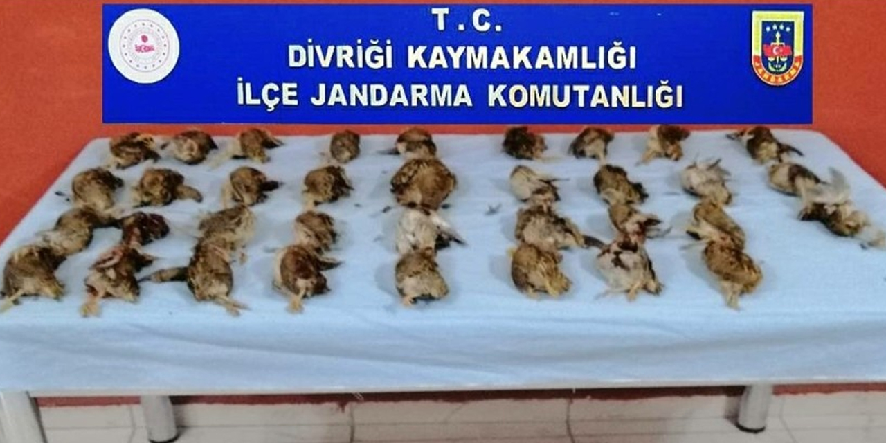 35 bıldırcına 23 bin lira ödediler!