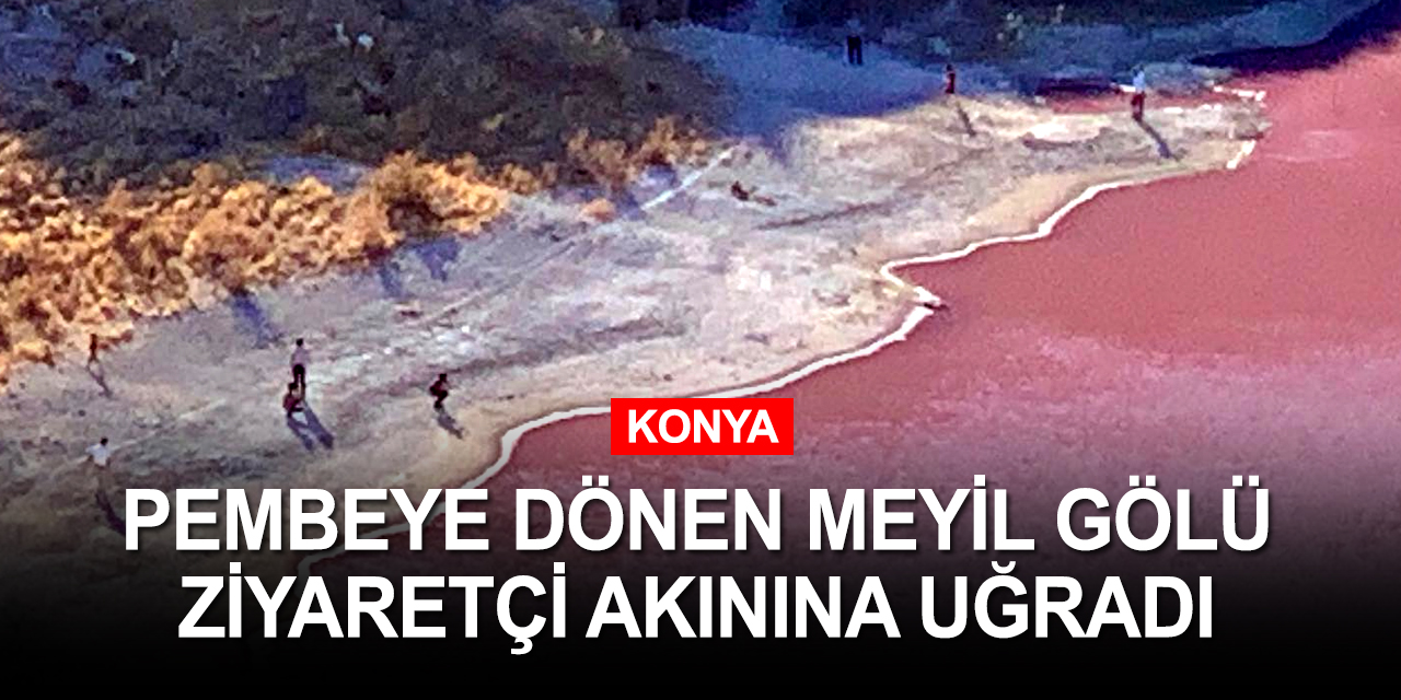 Konya'nın pembeye dönüşen Meyil Gölü doğa severlerin gözdesi oldu