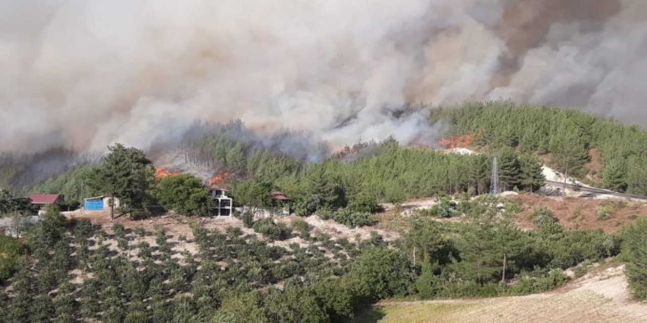 Adana’daki yangın havadan görüntülendi! Tahribat oldukça büyük