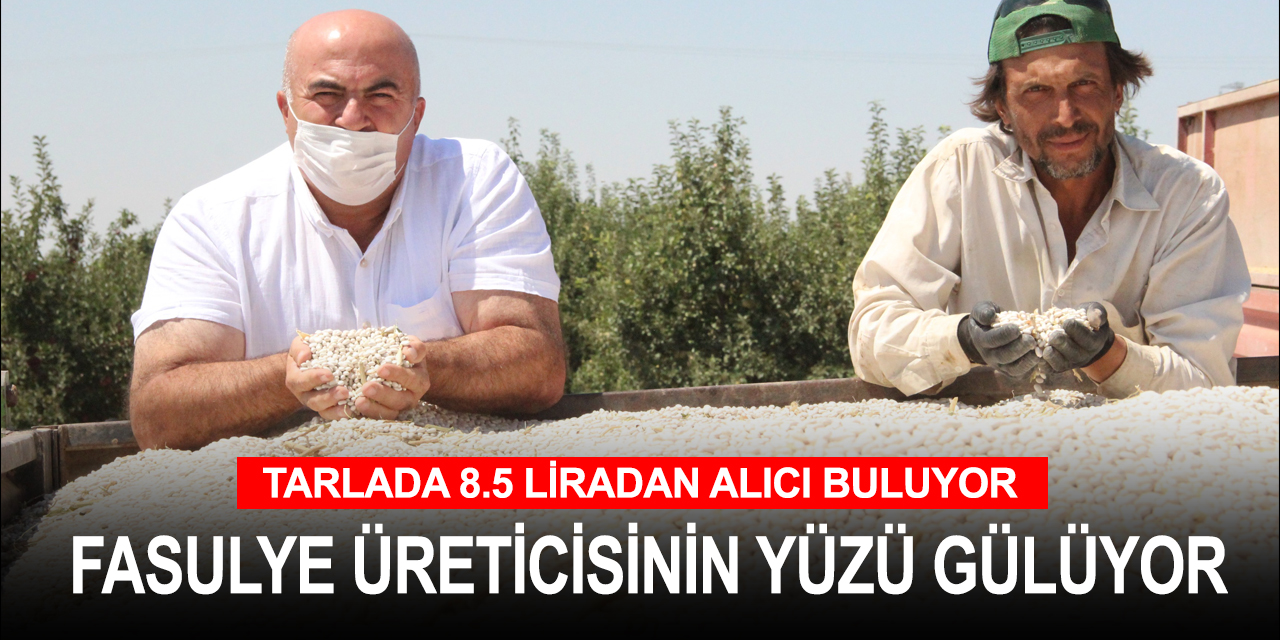 Kuru fasulye hasadı başladı! Üretici fiyattan da rekolteden de memnun