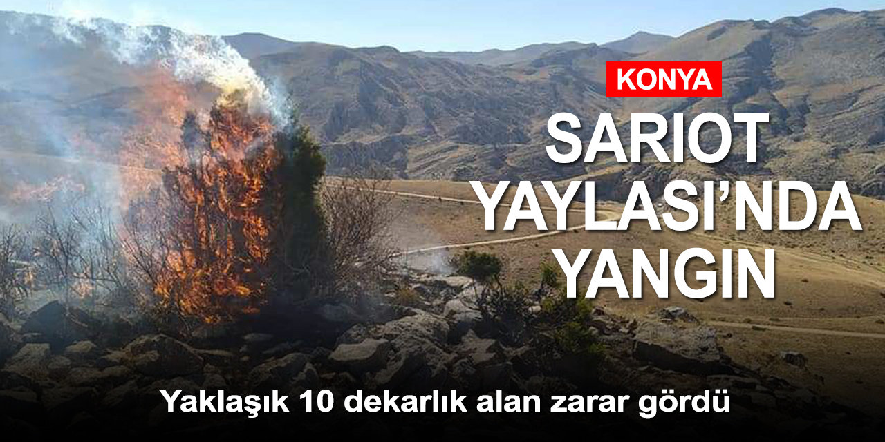 Konya Bozkır Sarıot Yaylası'nda yangın çıktı