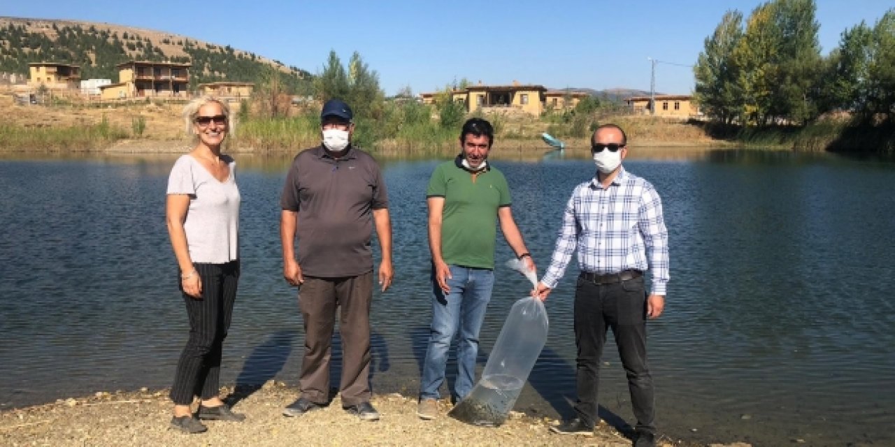 Konya Hüyük'ün göletlerine 44 bin sazan yavrusu