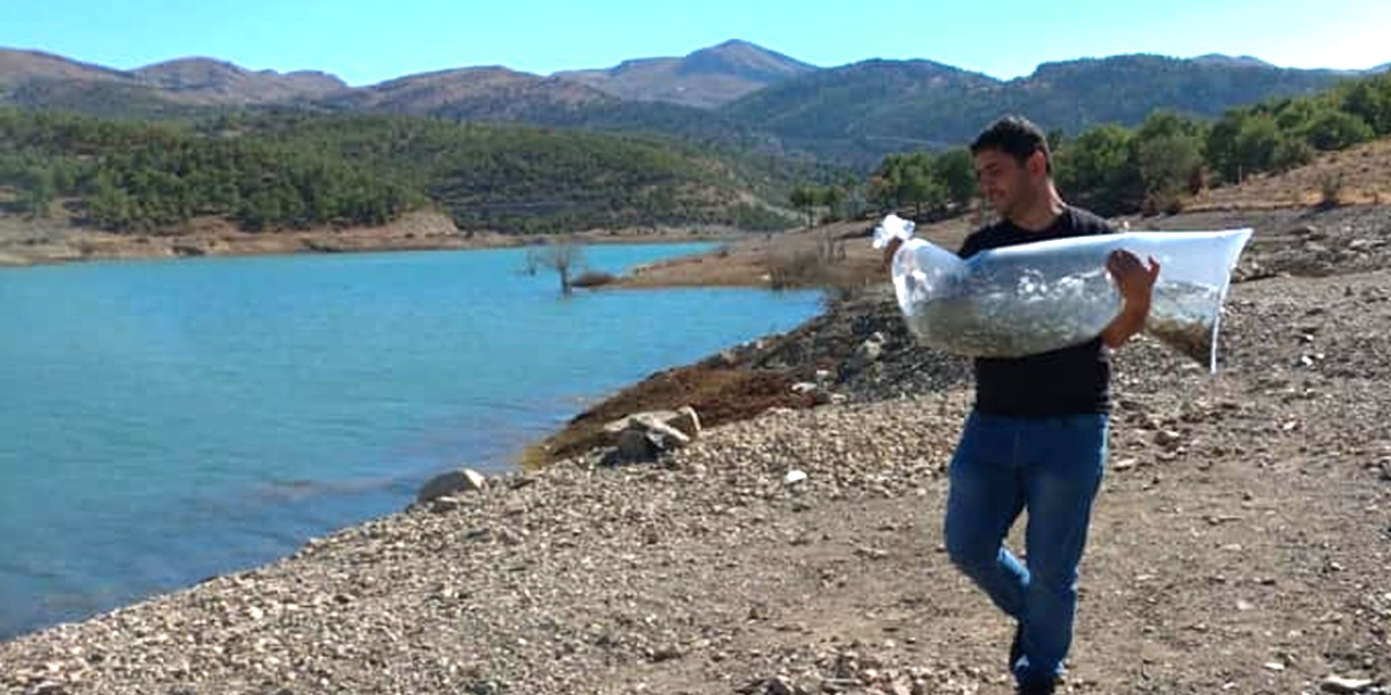 Konya Bozkır'ın Çağlayan Göleti'ne bu yıl da 5 bin yavru sazan salındı