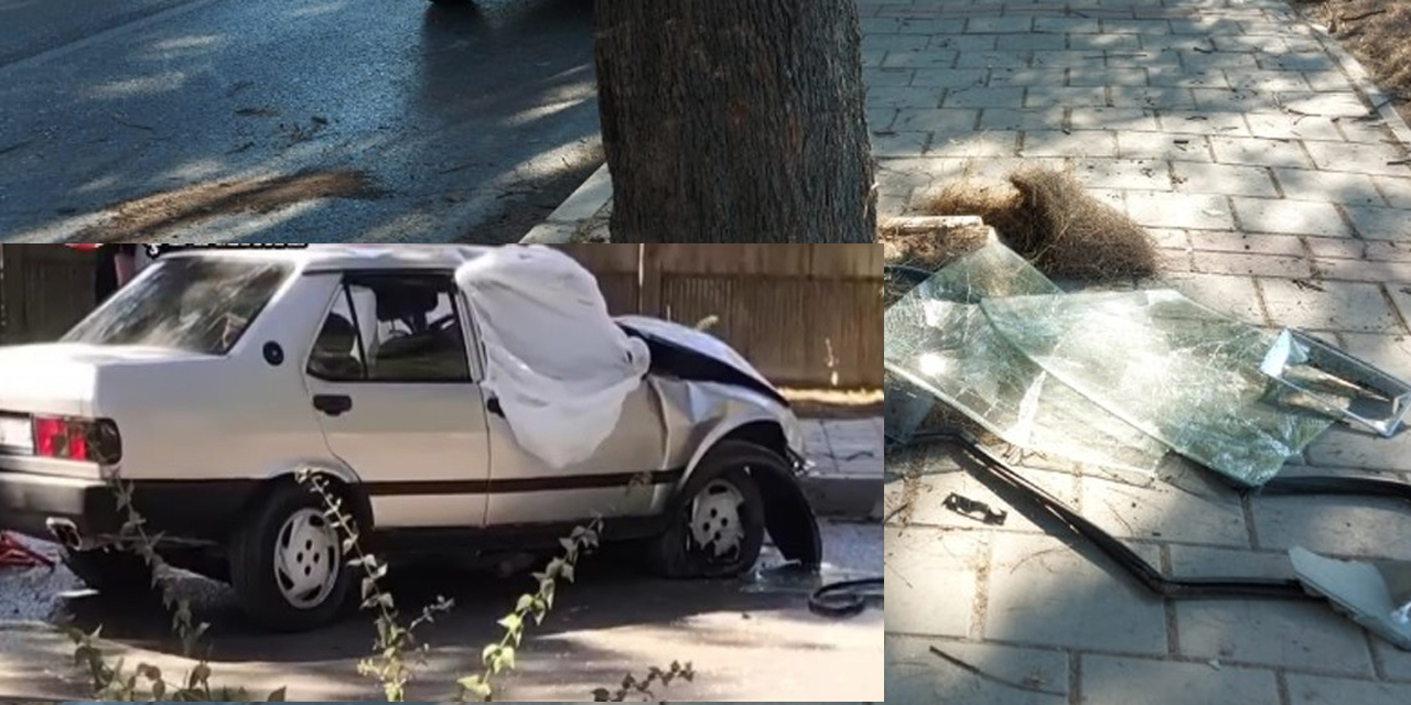 Ağaca çarpan otomobilin sürücüsü olay yerinde can verdi