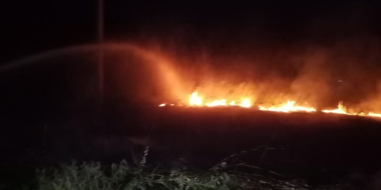 Samandağ'da kopan elektrik telleri bahçede yangın çıkardı