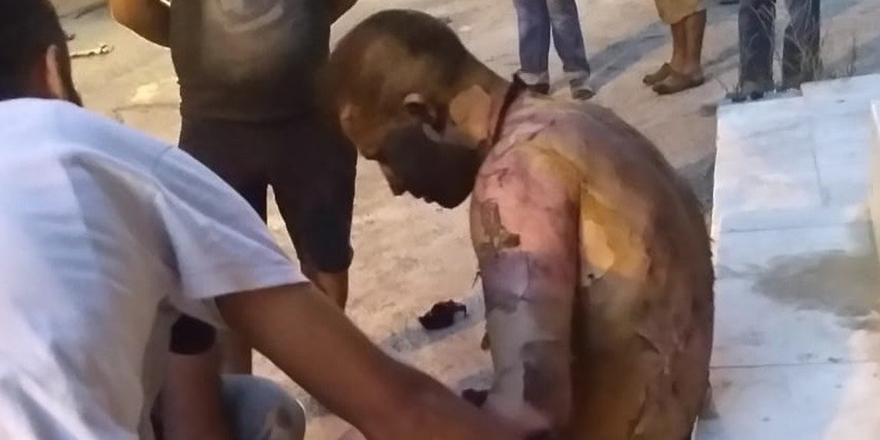 Üzerine tiner dökülerek yakılmıştı! 32 yaşındaki madde bağımlısı hayatını kaybetti