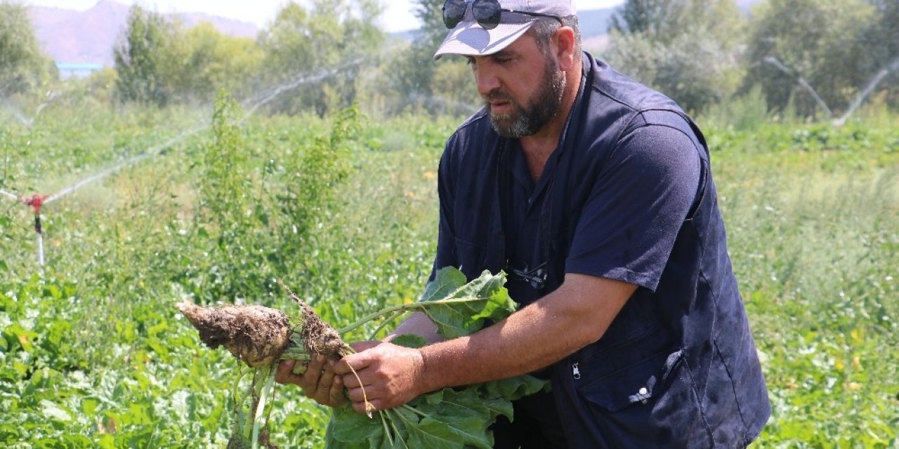 Pancar üreticileri Sivas'a şeker fabrikası istiyor