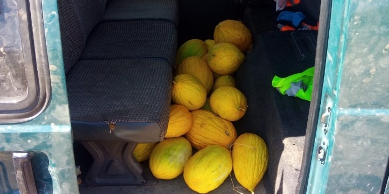 Kavun çalarken suç üstü yakalanan şahıs serbest bırakıldı