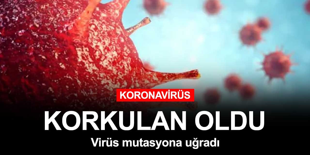 Koronavirüs salgınında yeni gelişme yaşandı! Virüs mutasyona uğradı