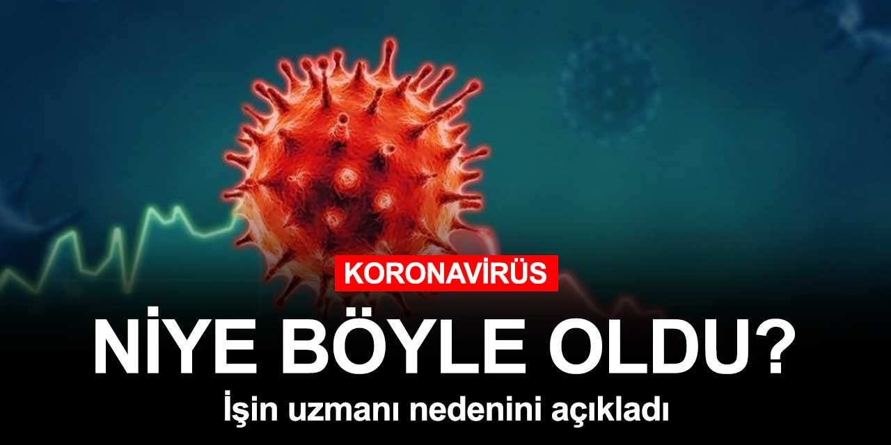 Koronavirüs salgınında Türkiye neden bu noktalara geldi?