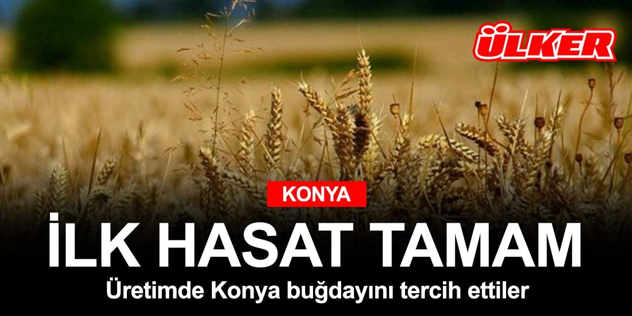 Ülker, Konya'daki ilk buğdayını aldı! Bisküvi yapacaklar